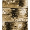 page011