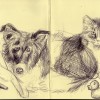 sketch2
